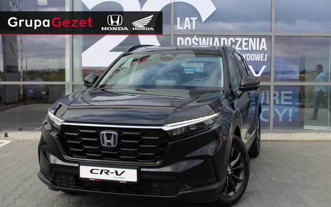 honda cr-v golub-dobrzyń Honda CR-V cena 203900 przebieg: 5, rok produkcji 2023 z Golub-Dobrzyń